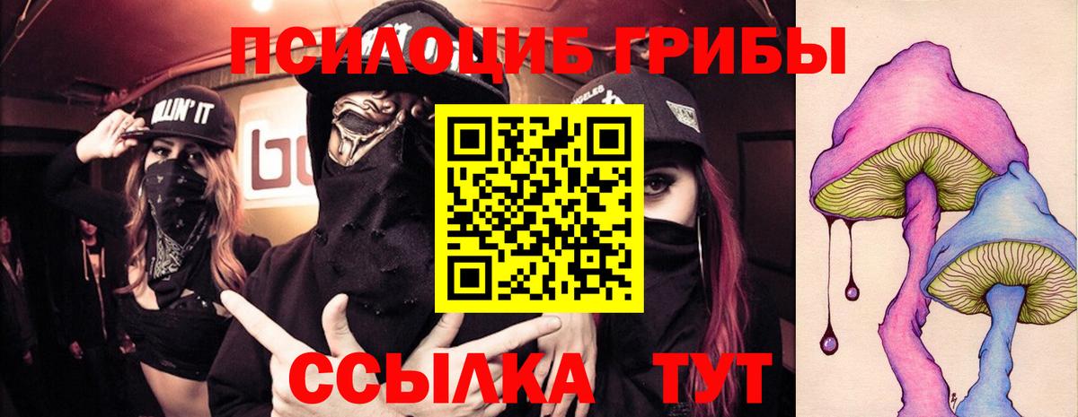 Галлюциногенные грибы Cubensis  Вход с VPN  Кохма 