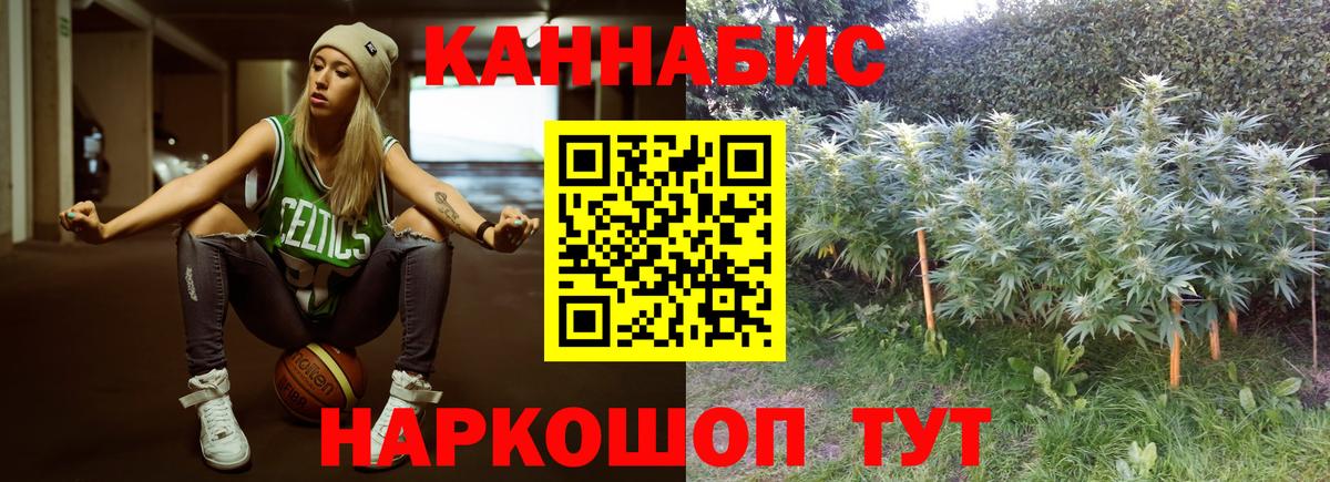 Кохма  Канабис THC 21%  Вход с VPN  Марихуана MAZAR  Шишки марихуана ГИДРОПОН 